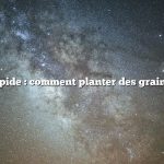 Réponse rapide : comment planter des graines de fruits